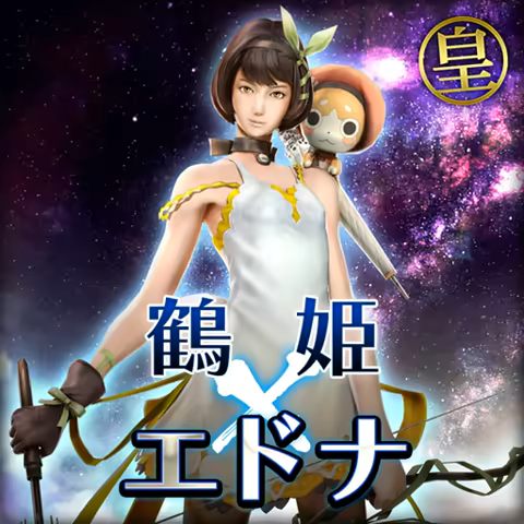 战国 BASARA4 皇